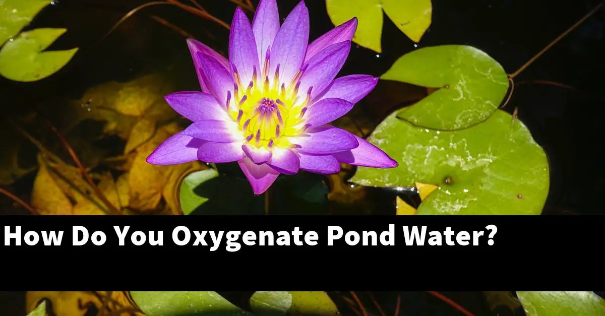 How Do You Oxygenate Pond Water?