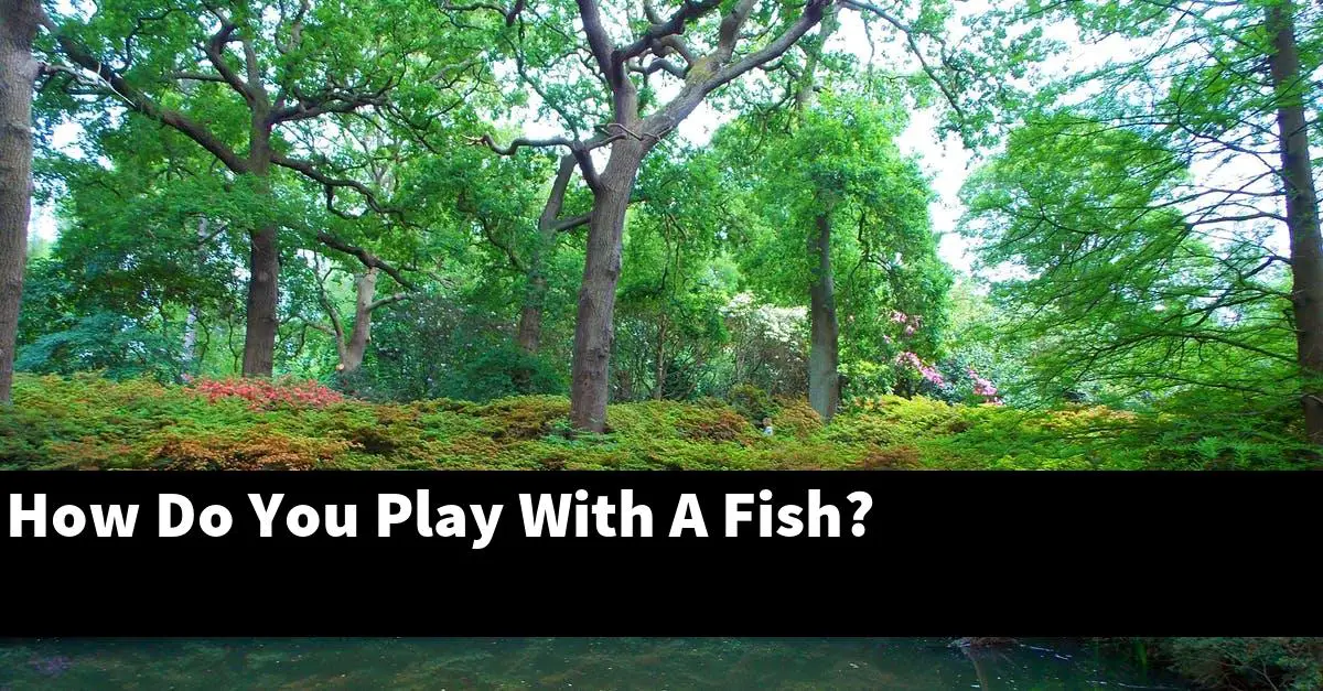 How Do You Play With A Fish?