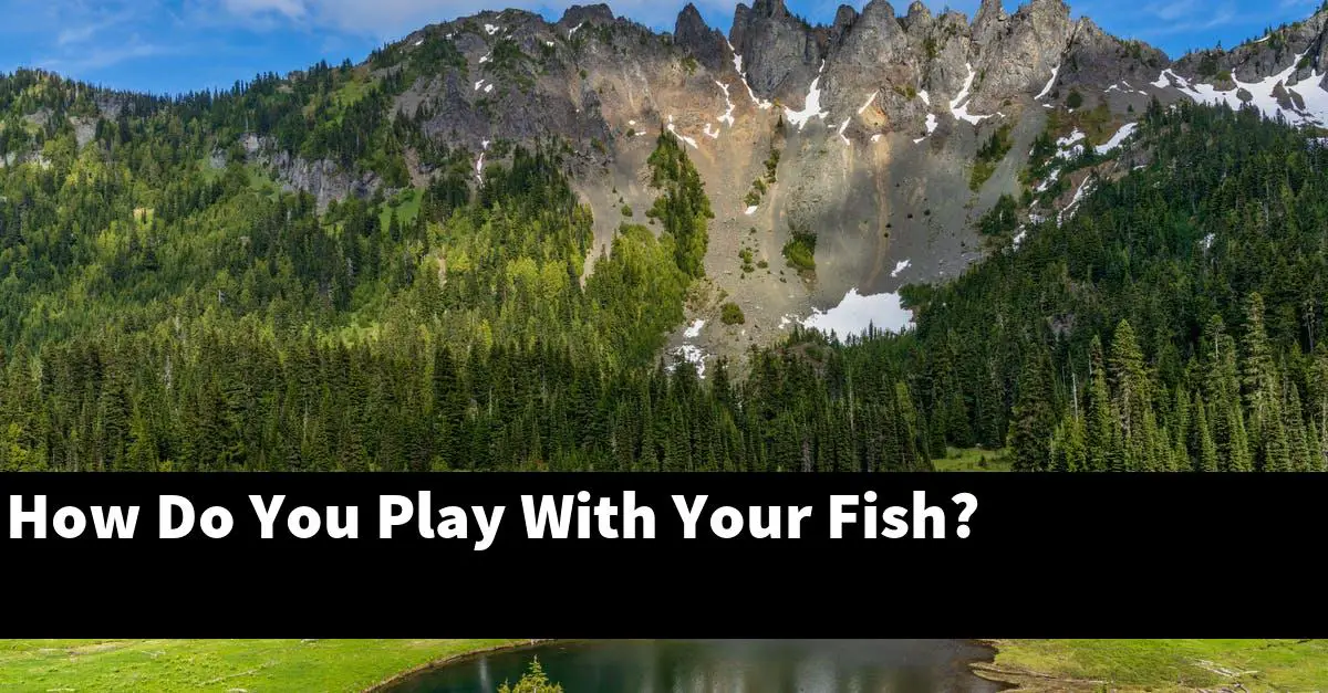 How Do You Play With Your Fish?