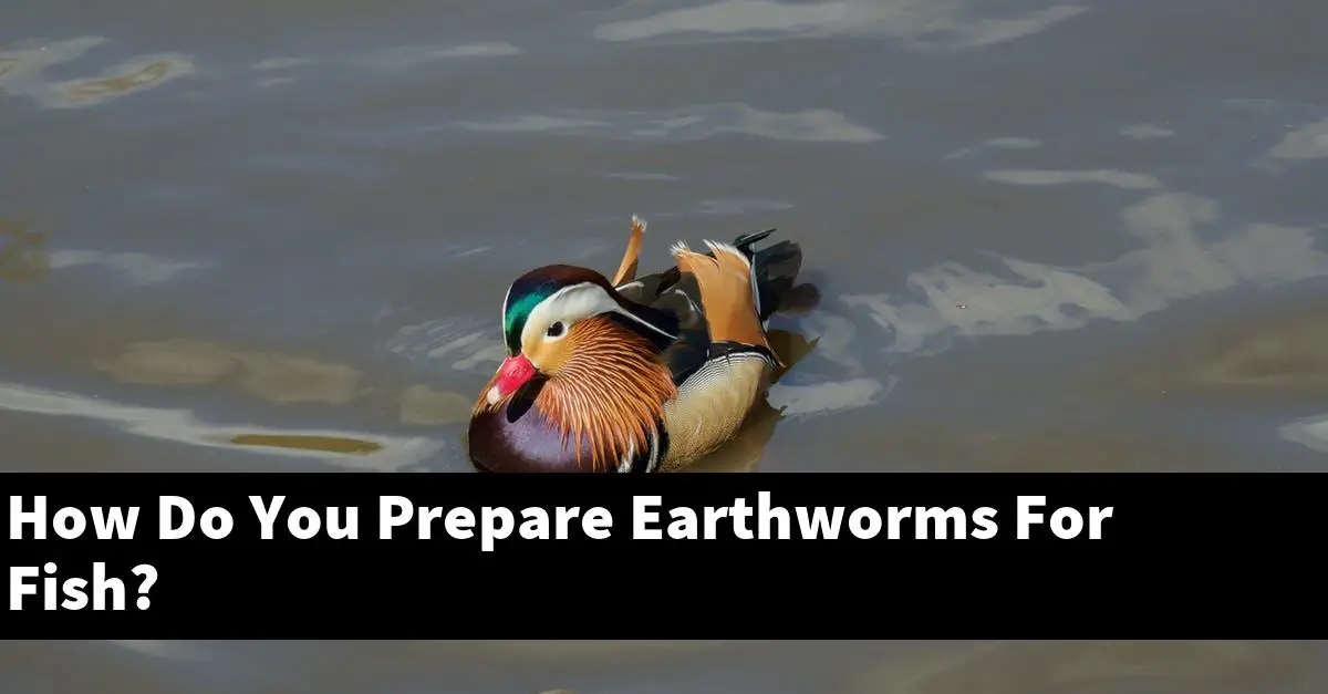 How Do You Prepare Earthworms For Fish?