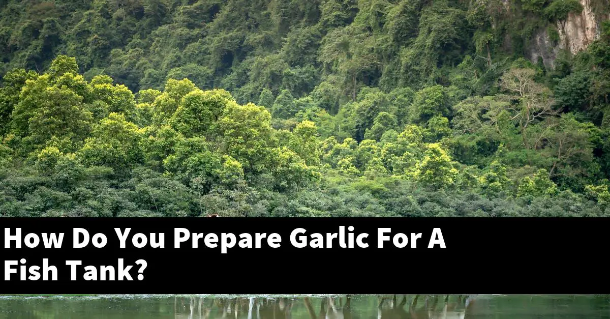 How Do You Prepare Garlic For A Fish Tank?