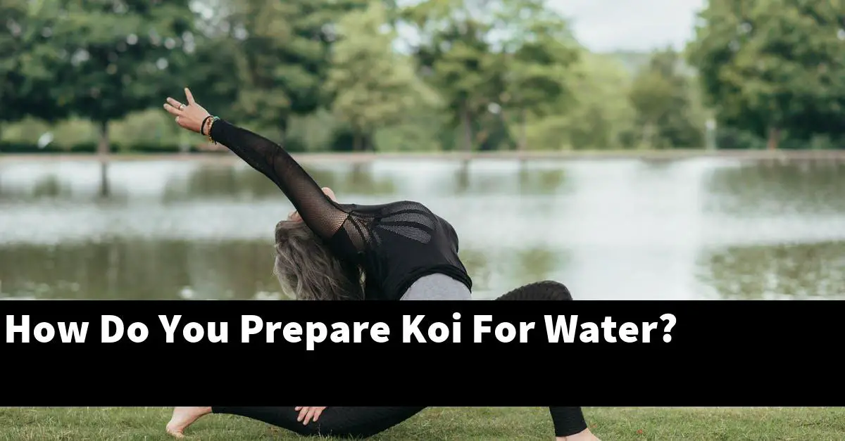 How Do You Prepare Koi For Water?