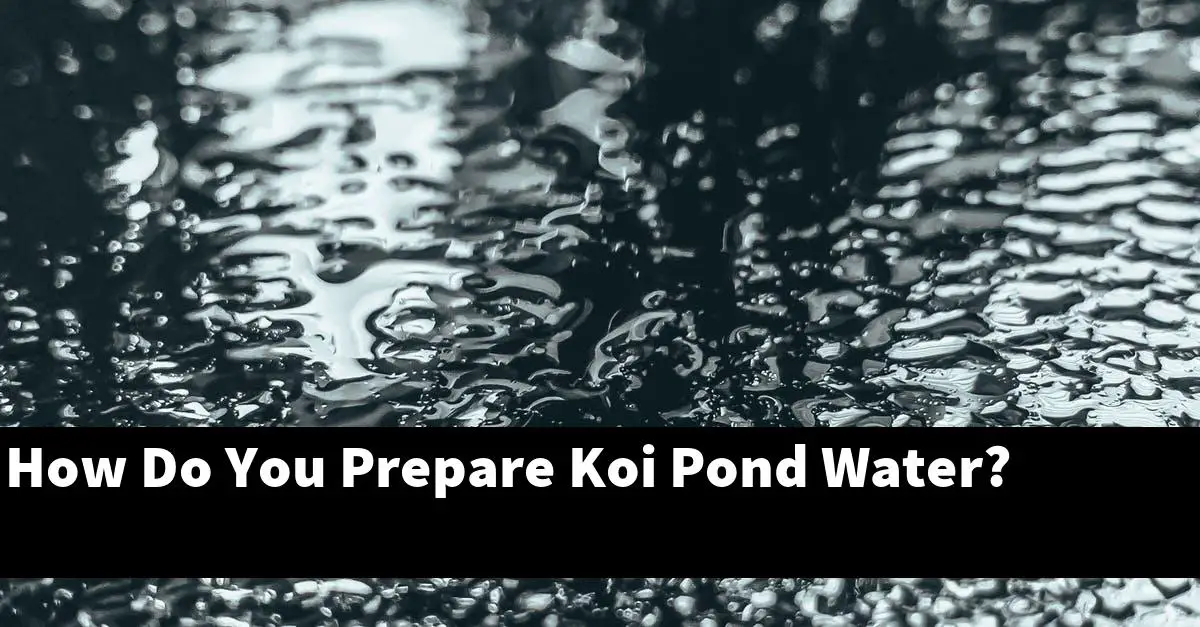 How Do You Prepare Koi Pond Water?