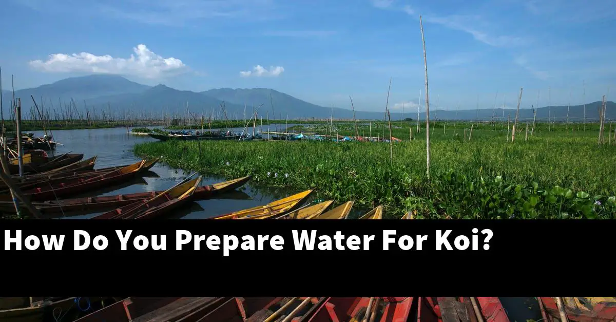 How Do You Prepare Water For Koi?