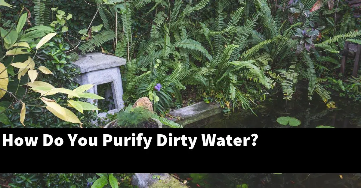 How Do You Purify Dirty Water?