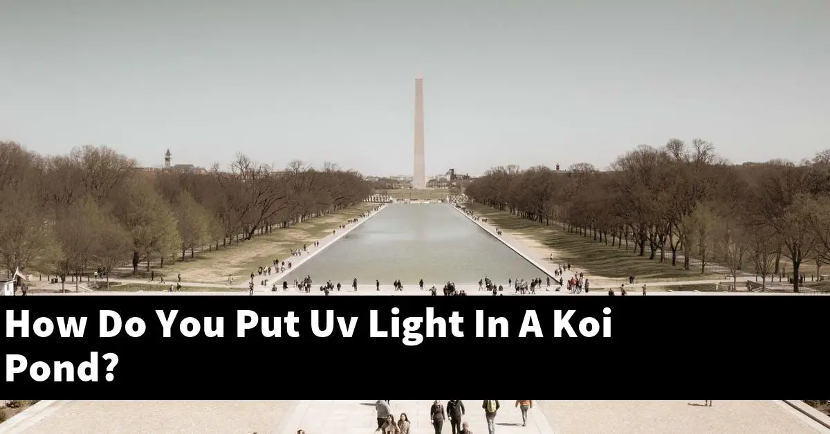 How Do You Put Uv Light In A Koi Pond?