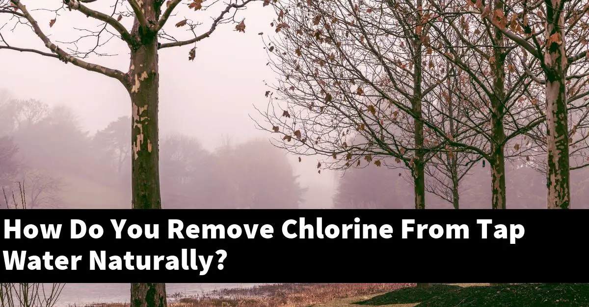 How Do You Remove Chlorine From Tap Water Naturally?