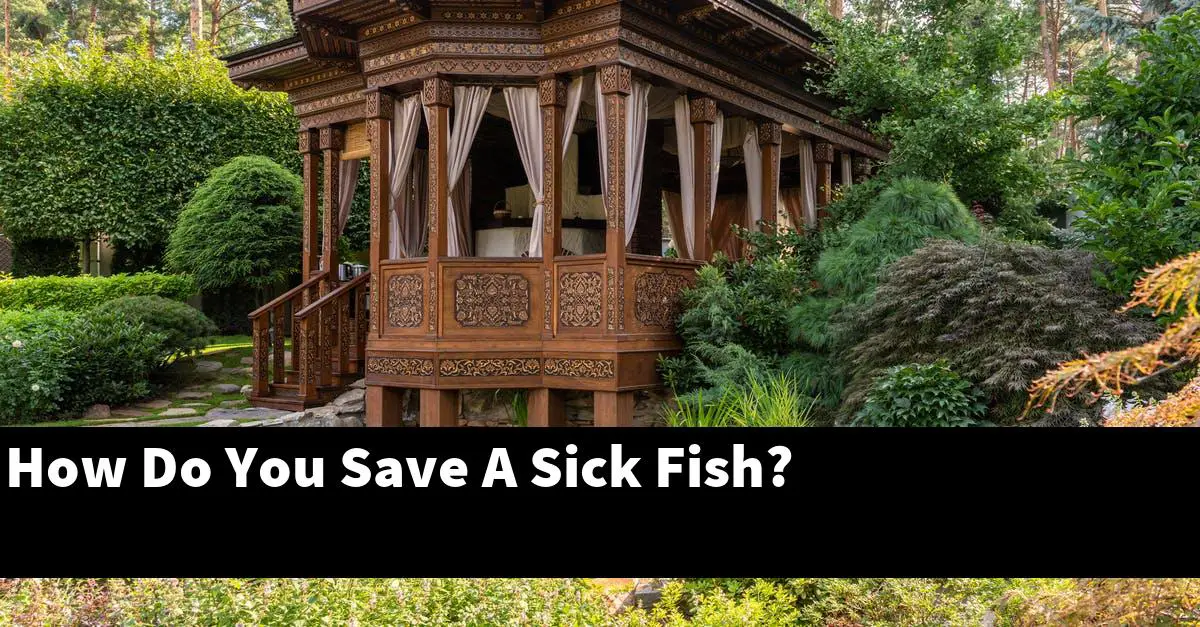 How Do You Save A Sick Fish?