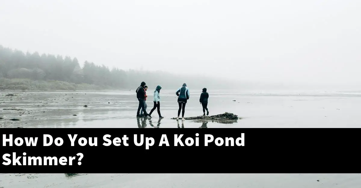 How Do You Set Up A Koi Pond Skimmer?