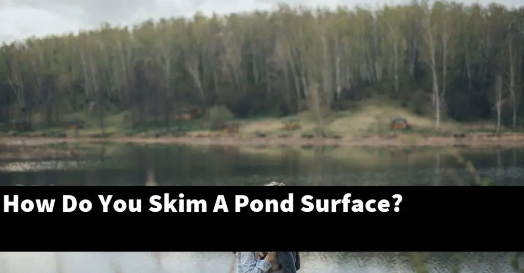 How Do You Skim A Pond Surface? [2024 Guide] Gold Koi Fish