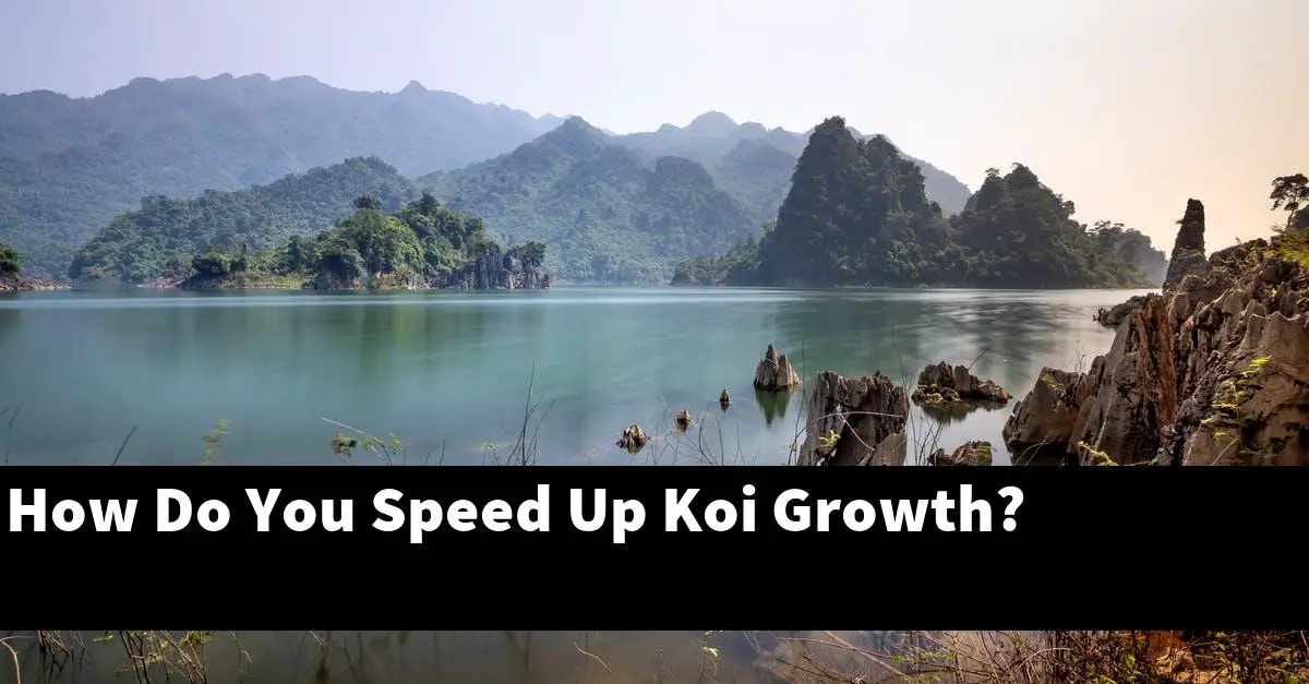 How Do You Speed Up Koi Growth?