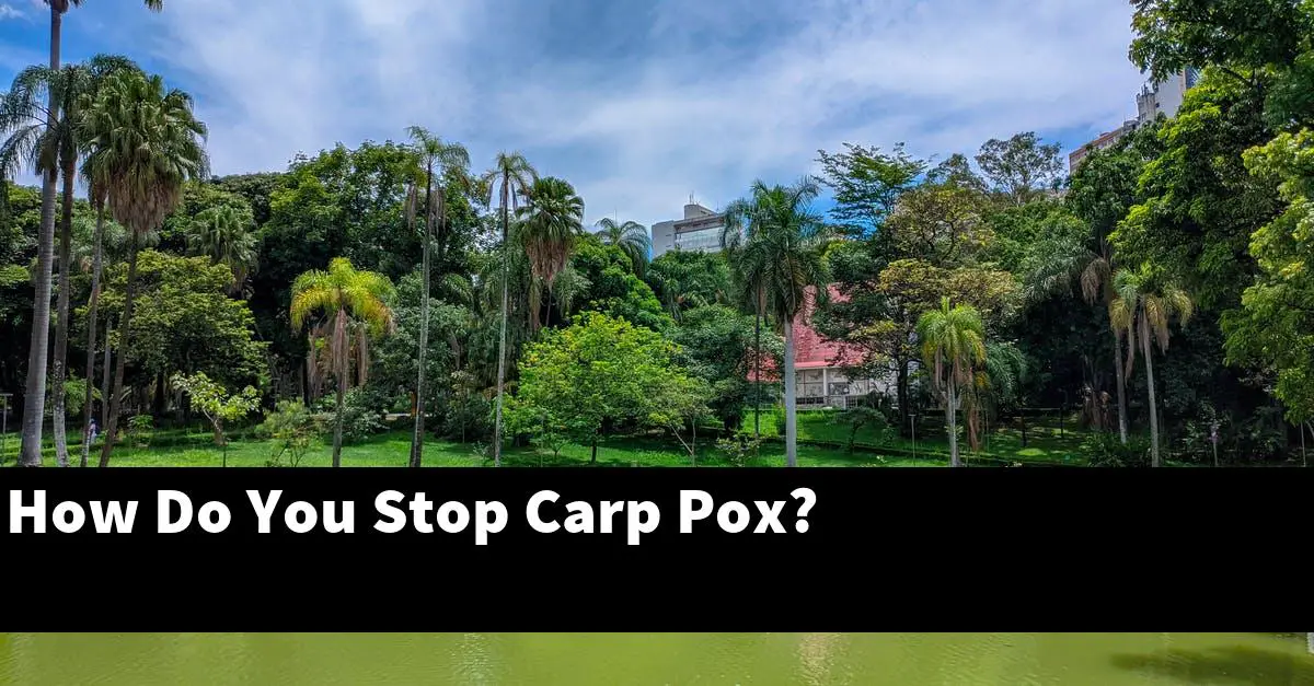 How Do You Stop Carp Pox?