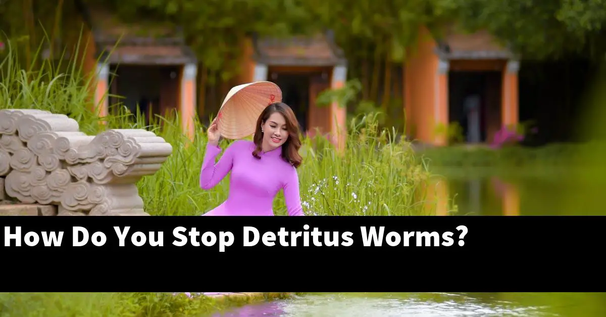 How Do You Stop Detritus Worms?