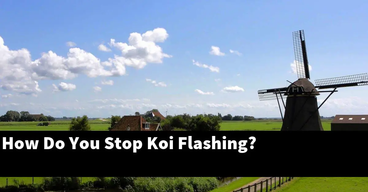 How Do You Stop Koi Flashing?