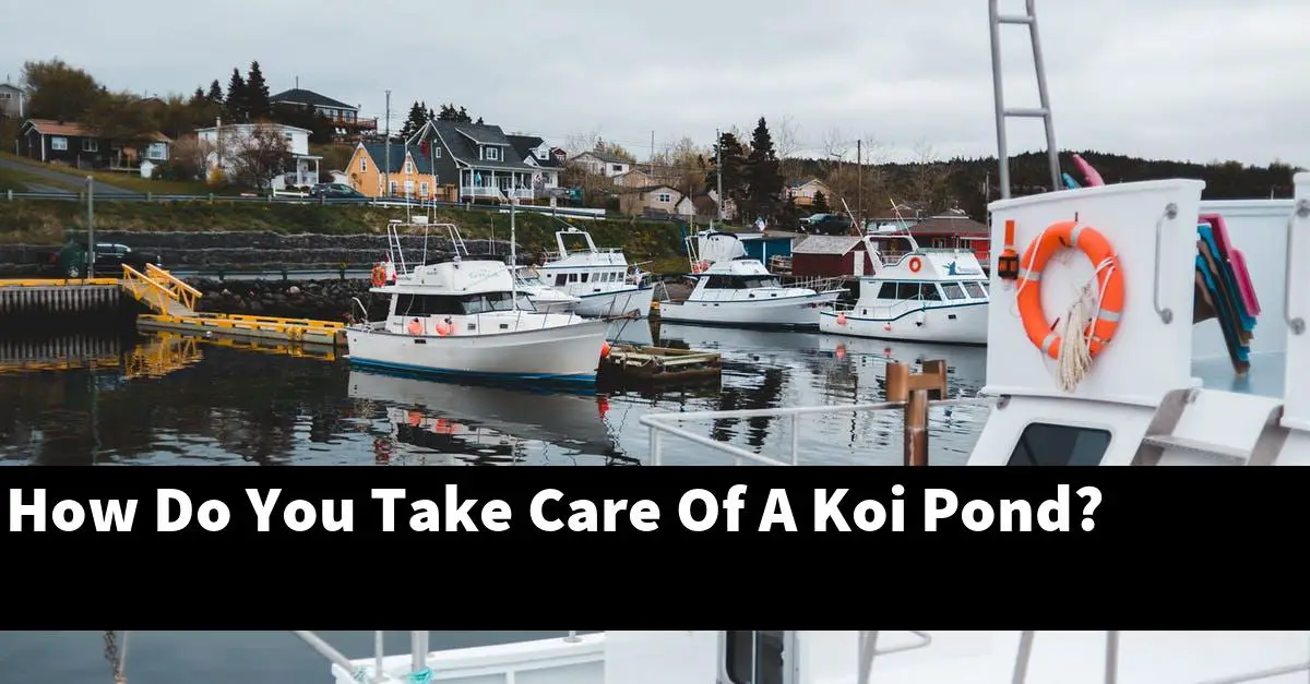 How Do You Take Care Of A Koi Pond?
