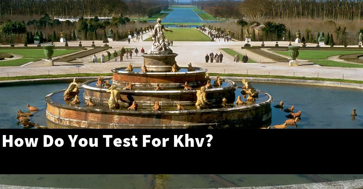 How Do You Test For Khv?