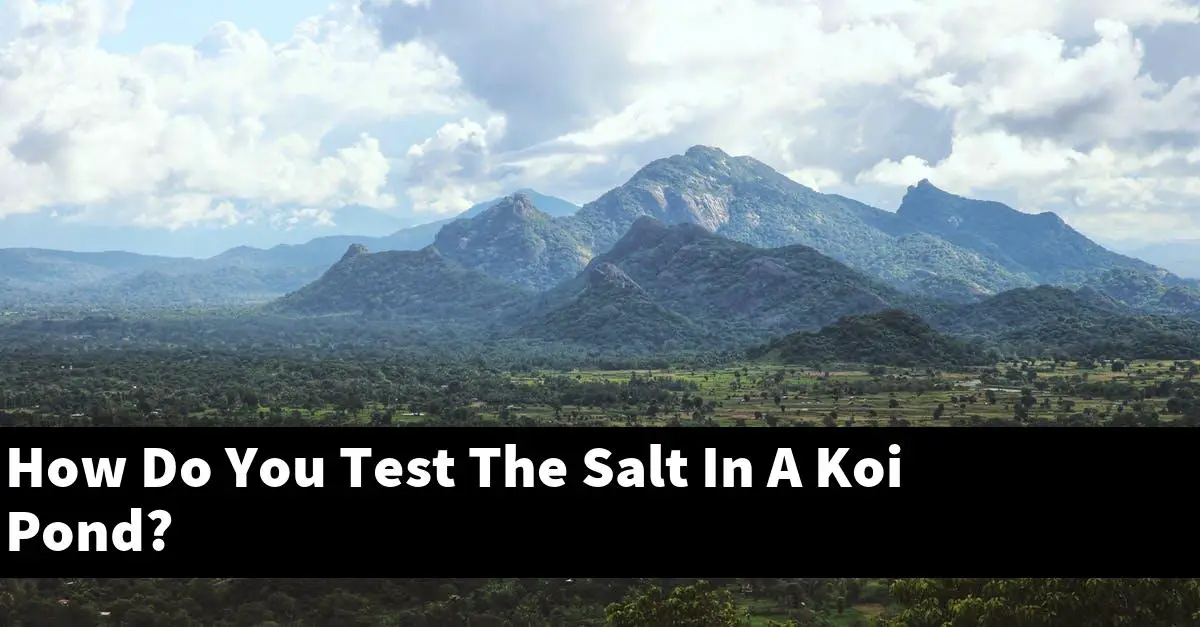 How Do You Test The Salt In A Koi Pond?