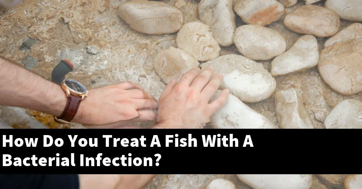 How Do You Treat A Fish With A Bacterial Infection?