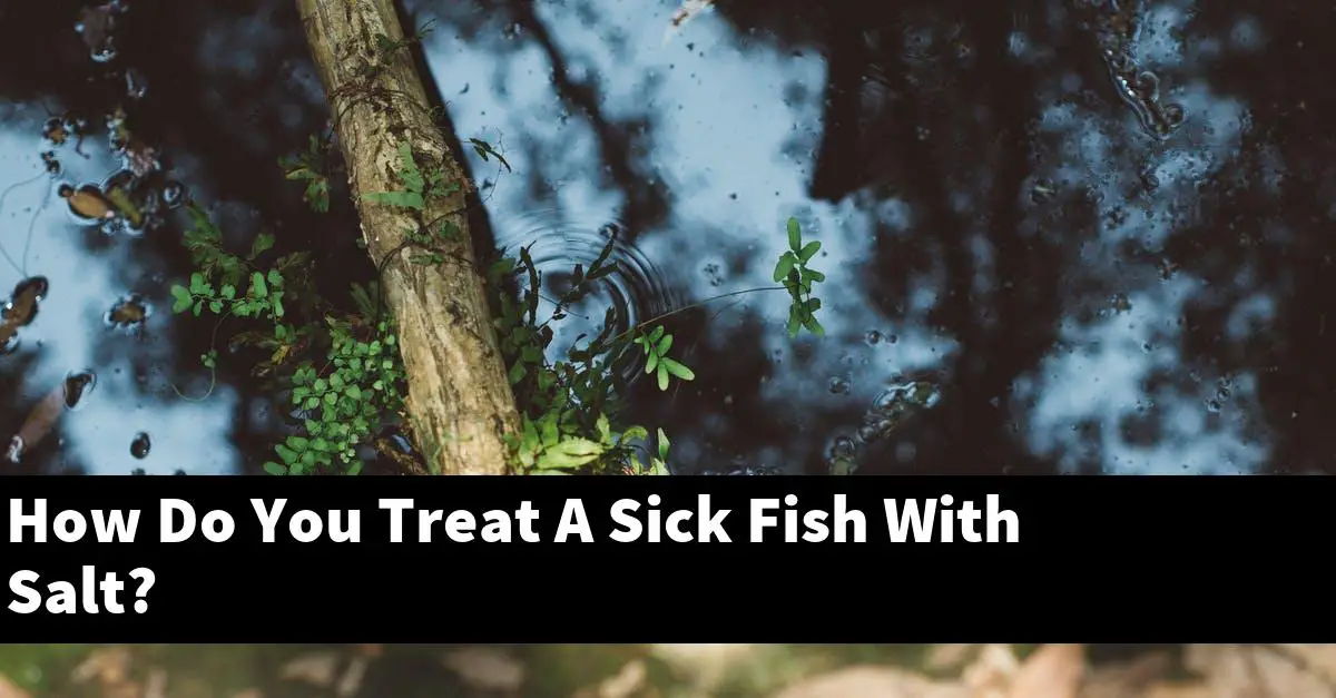 How Do You Treat A Sick Fish With Salt?