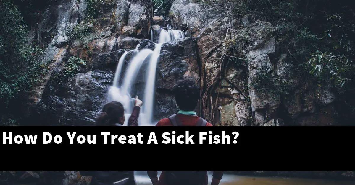 How Do You Treat A Sick Fish?