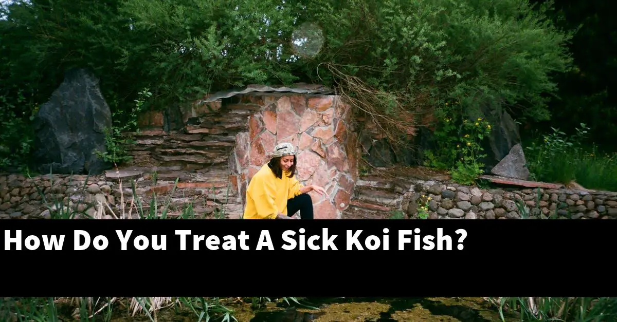 How Do You Treat A Sick Koi Fish?