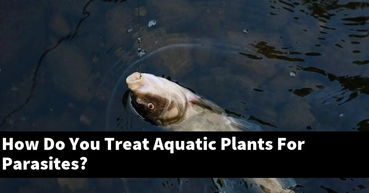 How Do You Treat Aquatic Plants For Parasites?