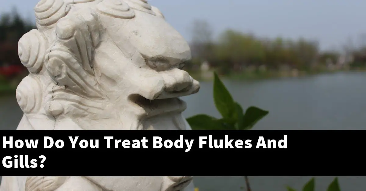 How Do You Treat Body Flukes And Gills?