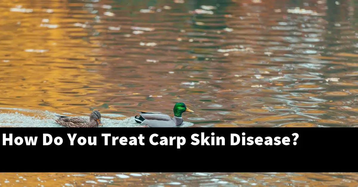 How Do You Treat Carp Skin Disease?