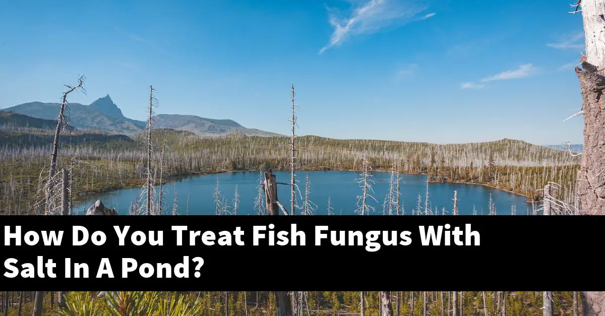 How Do You Treat Fish Fungus With Salt In A Pond?