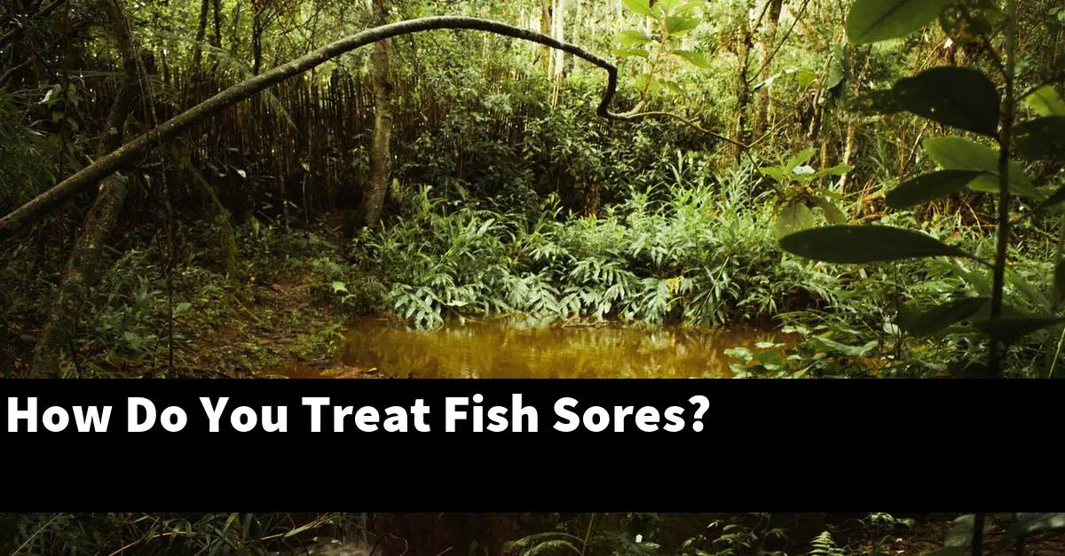 How Do You Treat Fish Sores?