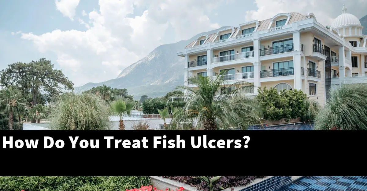 How Do You Treat Fish Ulcers?