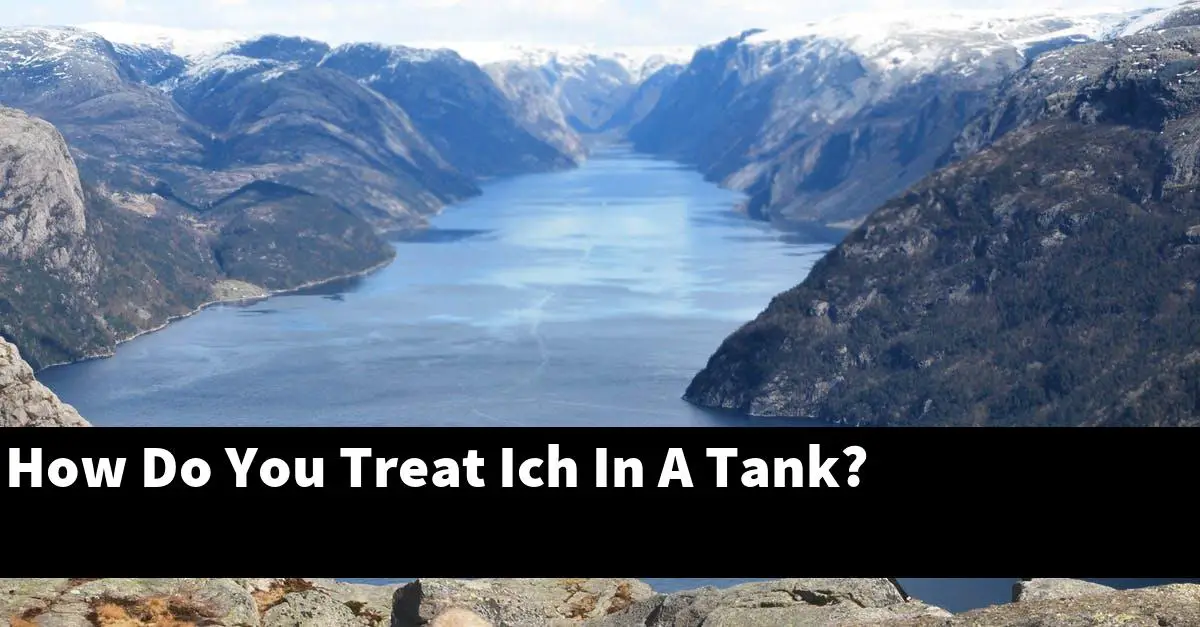 How Do You Treat Ich In A Tank?
