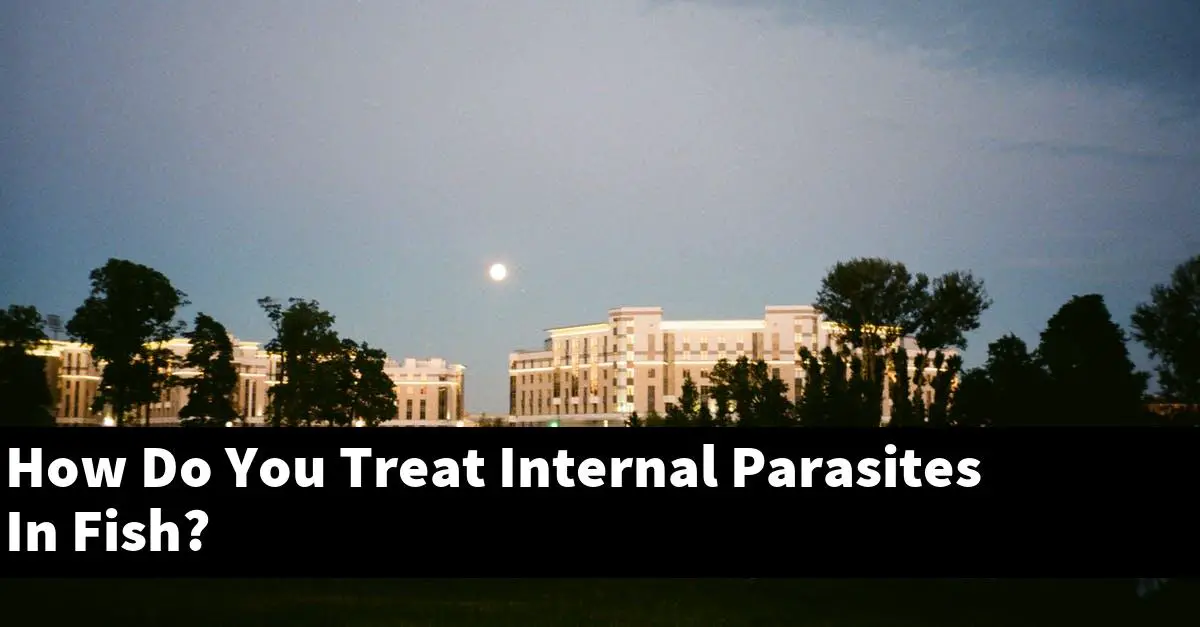 How Do You Treat Internal Parasites In Fish?