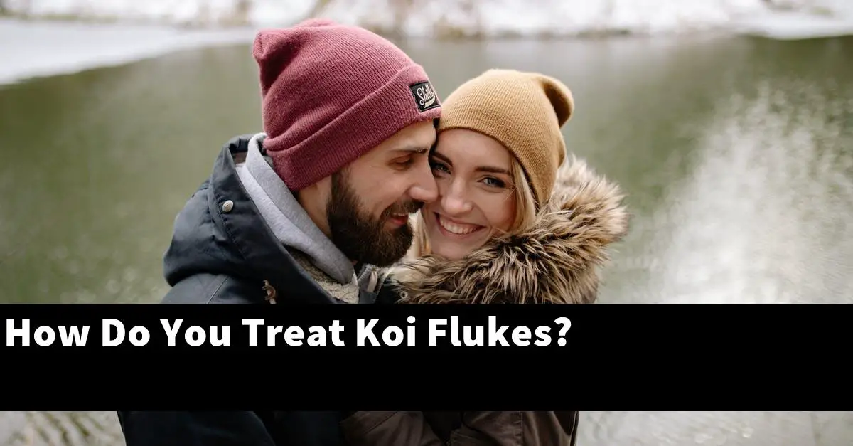 How Do You Treat Koi Flukes?