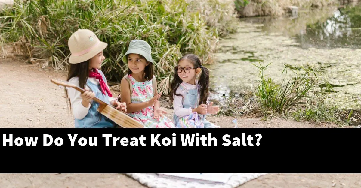 How Do You Treat Koi With Salt?