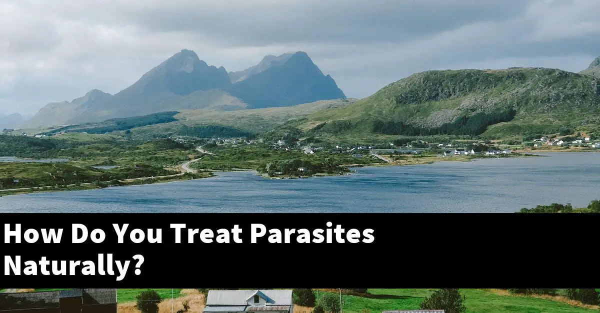 How Do You Treat Parasites Naturally?