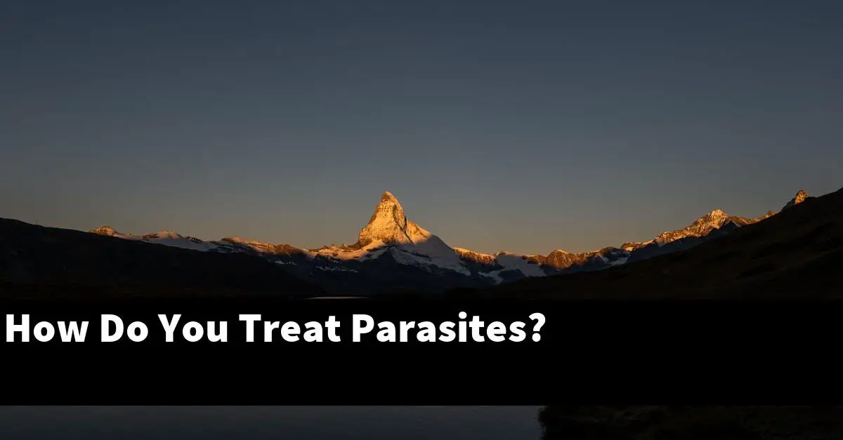 How Do You Treat Parasites?