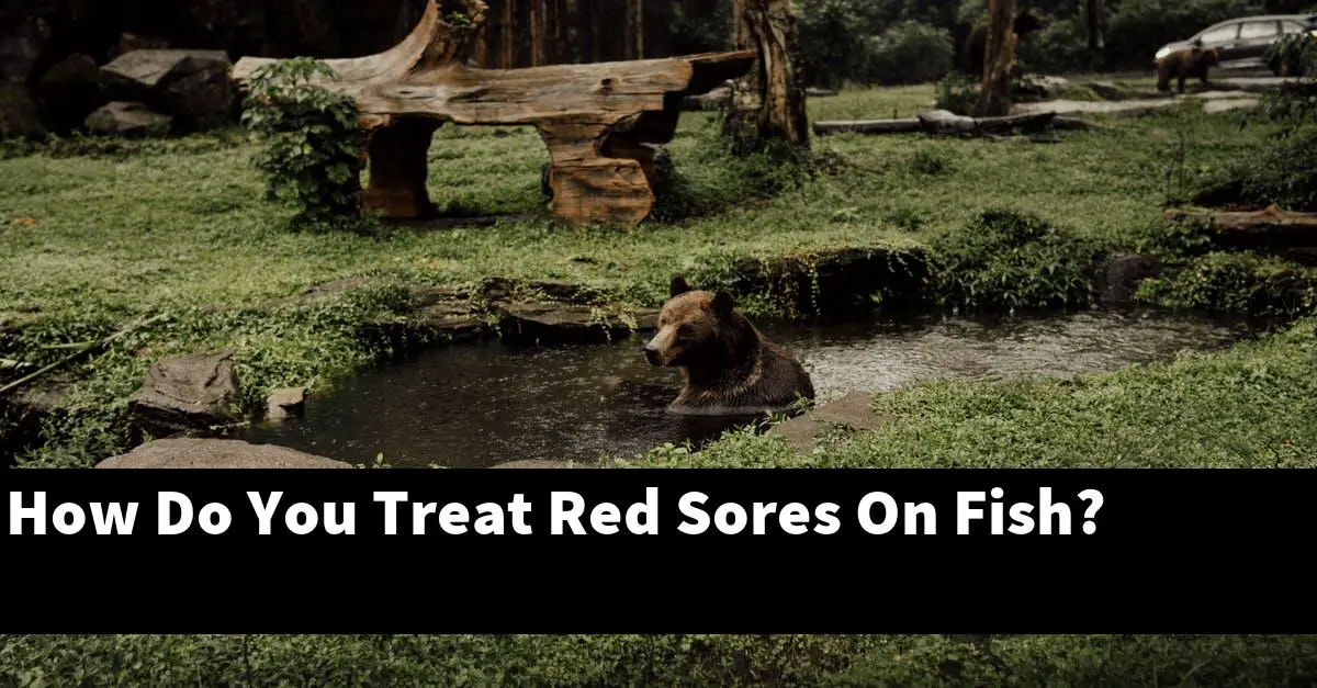 How Do You Treat Red Sores On Fish?