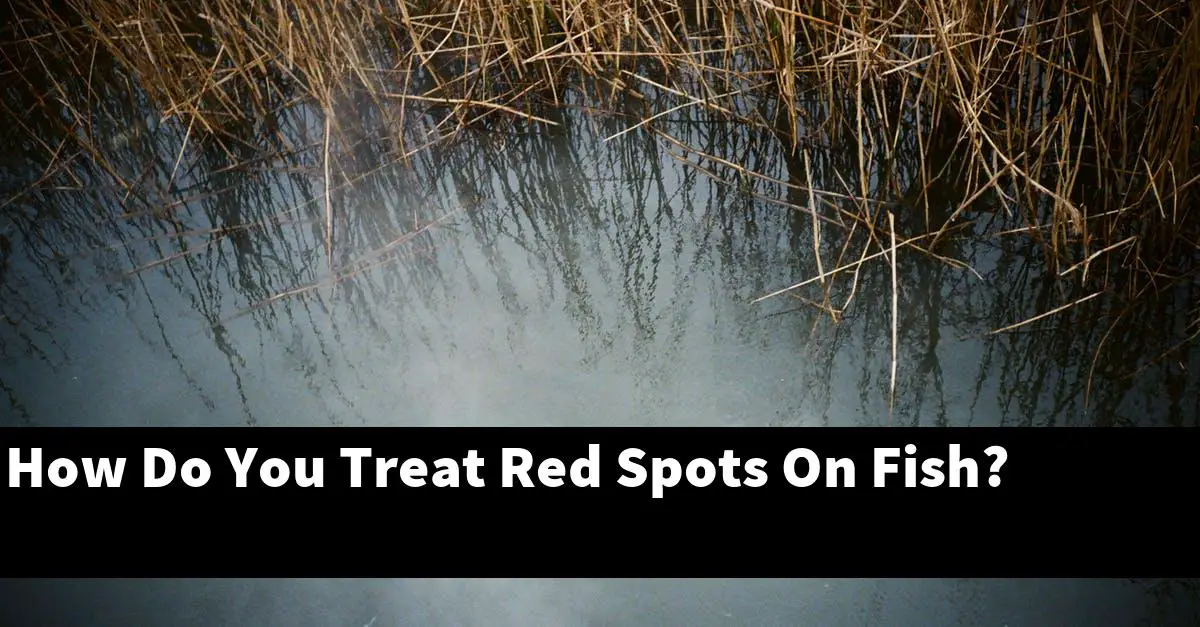 How Do You Treat Red Spots On Fish?