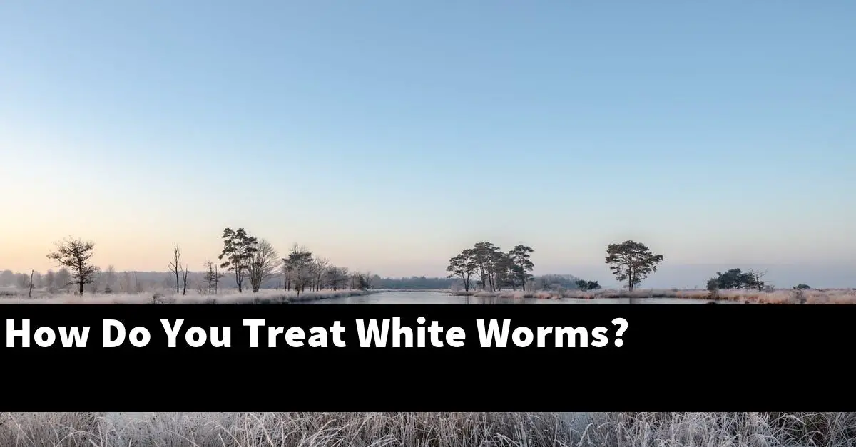 How Do You Treat White Worms?