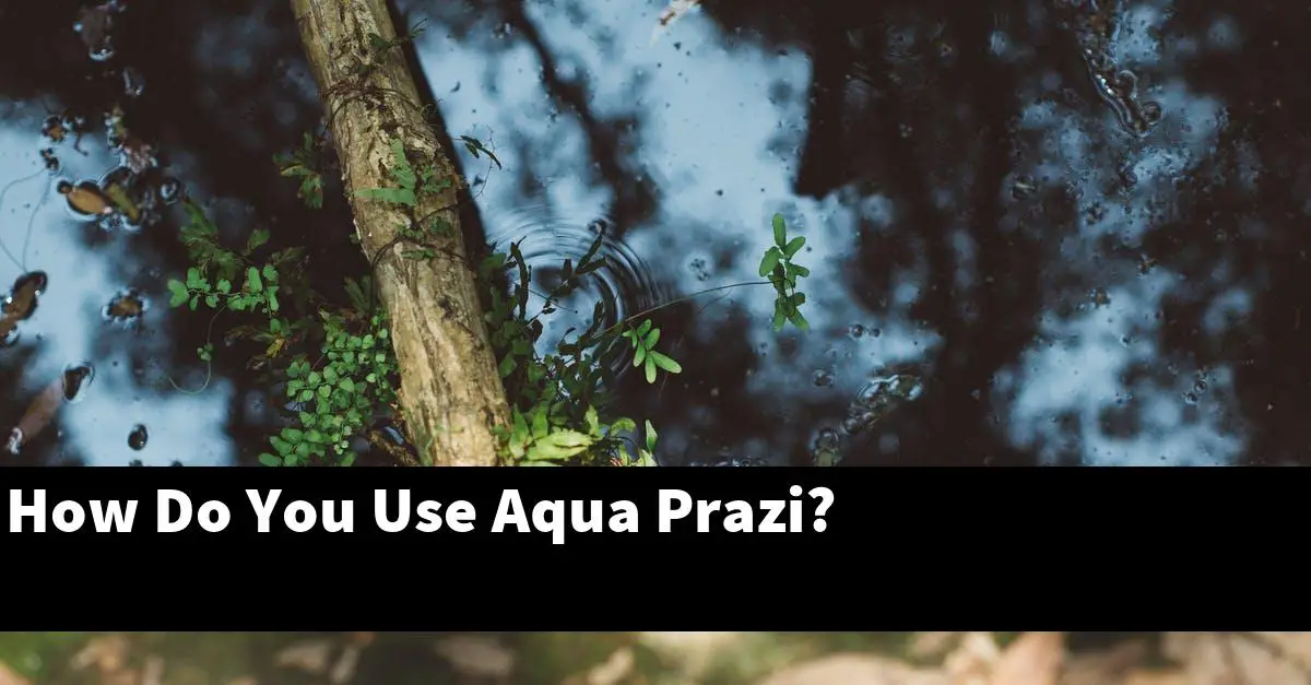 How Do You Use Aqua Prazi?
