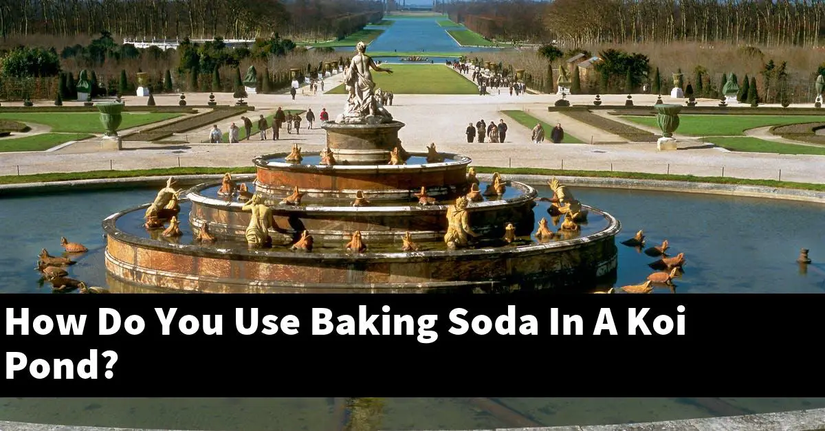 How Do You Use Baking Soda In A Koi Pond?