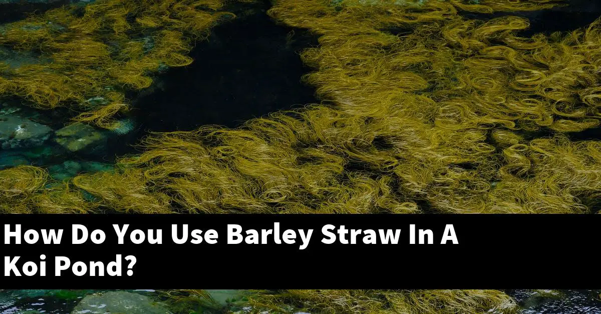 How Do You Use Barley Straw In A Koi Pond?