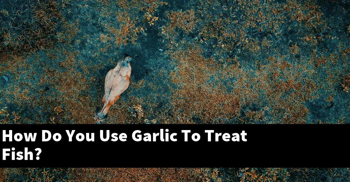 How Do You Use Garlic To Treat Fish?