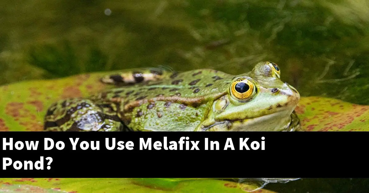 How Do You Use Melafix In A Koi Pond?