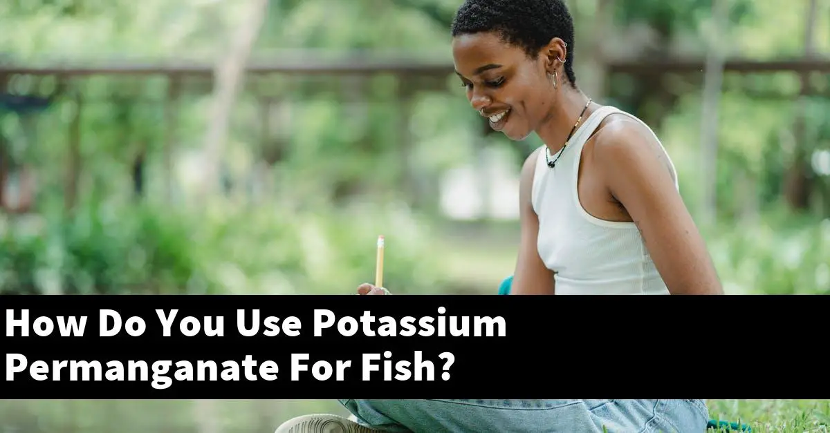 How Do You Use Potassium Permanganate For Fish?