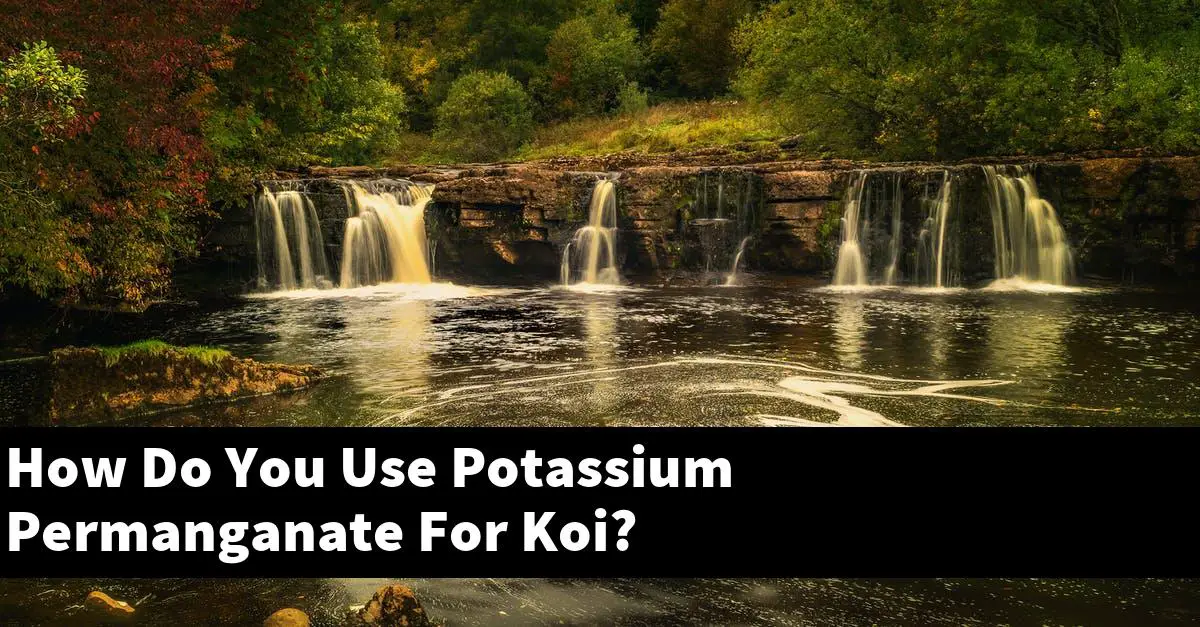 How Do You Use Potassium Permanganate For Koi?