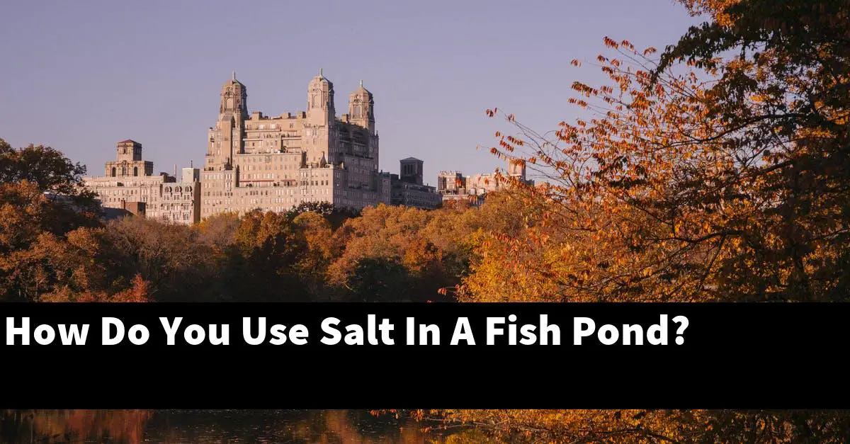How Do You Use Salt In A Fish Pond?