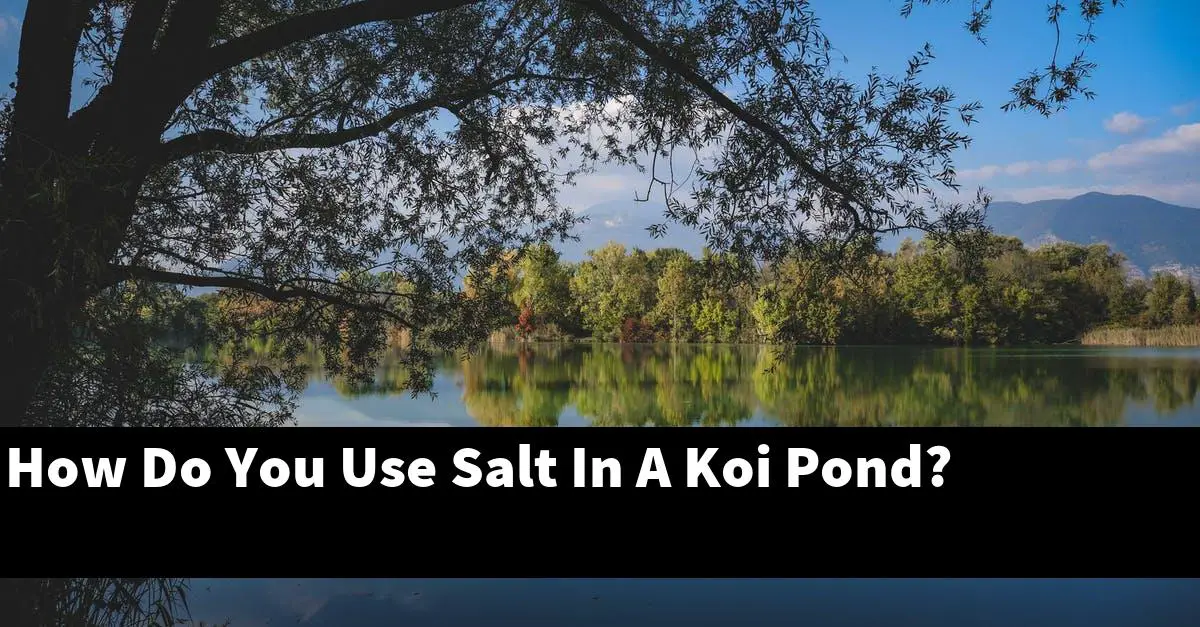 How Do You Use Salt In A Koi Pond?