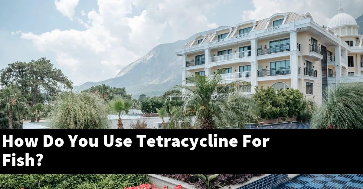 How Do You Use Tetracycline For Fish?